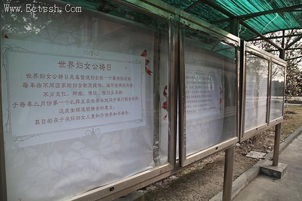 华东神学院举行世界妇女公祷日活动 华东神学院举行世界妇女公祷日活动